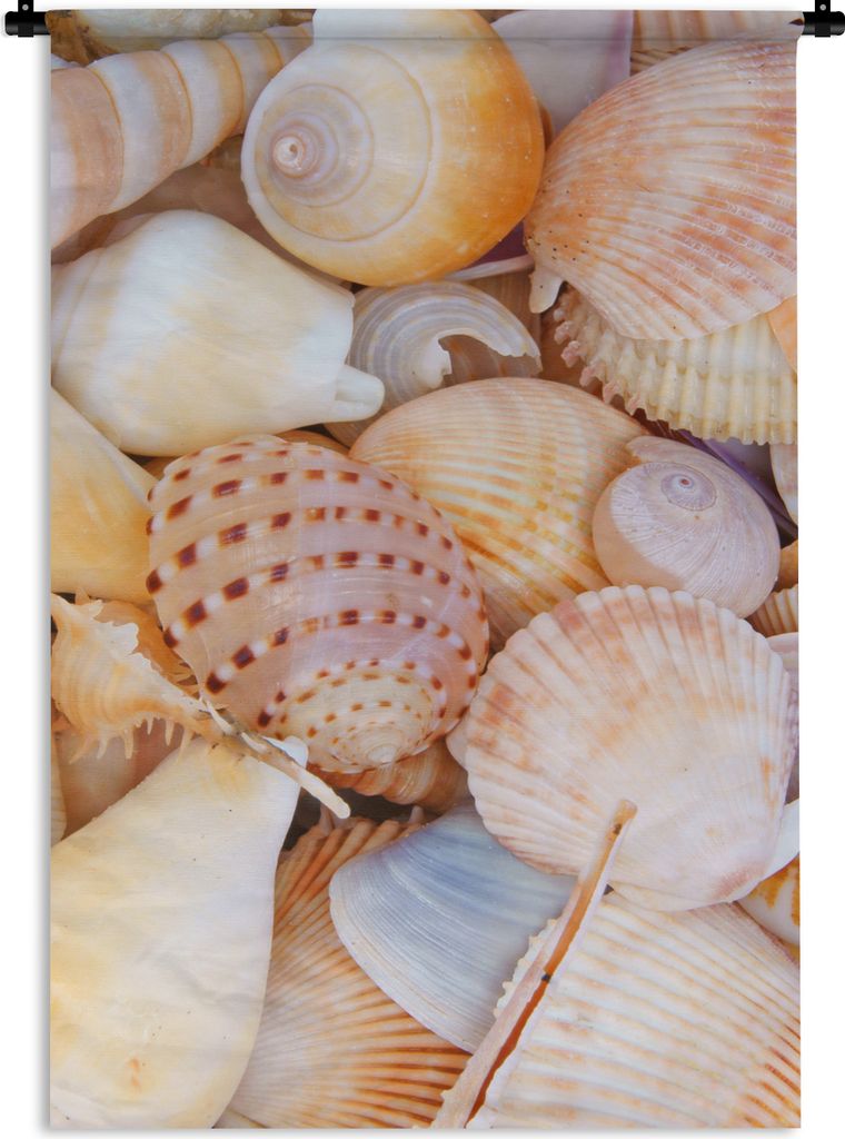 MuchoWow Wandteppich Wandbehang Muscheln - Strand - Sommer - Orange 60x90 cm Tapisserie Dekoration Wandtuch - Foto-Teppich - Abwaschbar