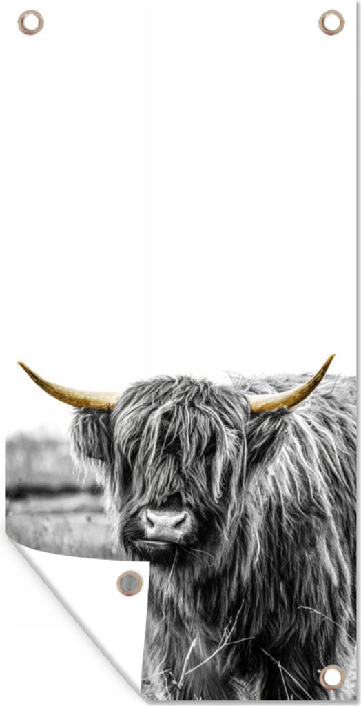 MuchoWow 30x60 cm Outdoor-Poster Gartendeko Sichtschutz Garten Poster für den Garten Schottischer Highlander - Gold - Schwarz - Weiß