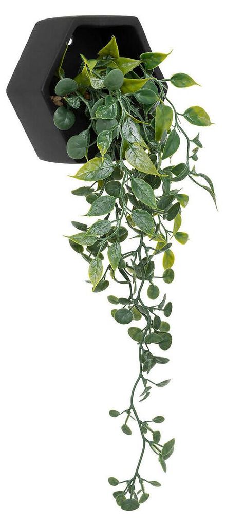 Künstliche hängepflanze ayame topf schwarz h14cm  - Produktbild 