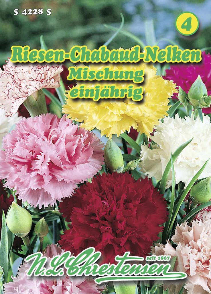 Artikelbild 1 von 'Riesen Chabaud Nelke Mischung' aus der Kategorie Nelkensamen