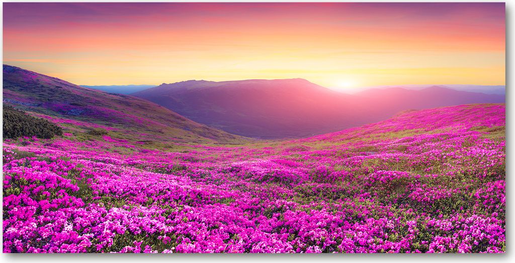 Tulup Leinwandbild -100x50 cm - Wandkunst - Drucke auf Leinwand - Leinwanddruck - Landschaften - Rosa - Rosa Hügel