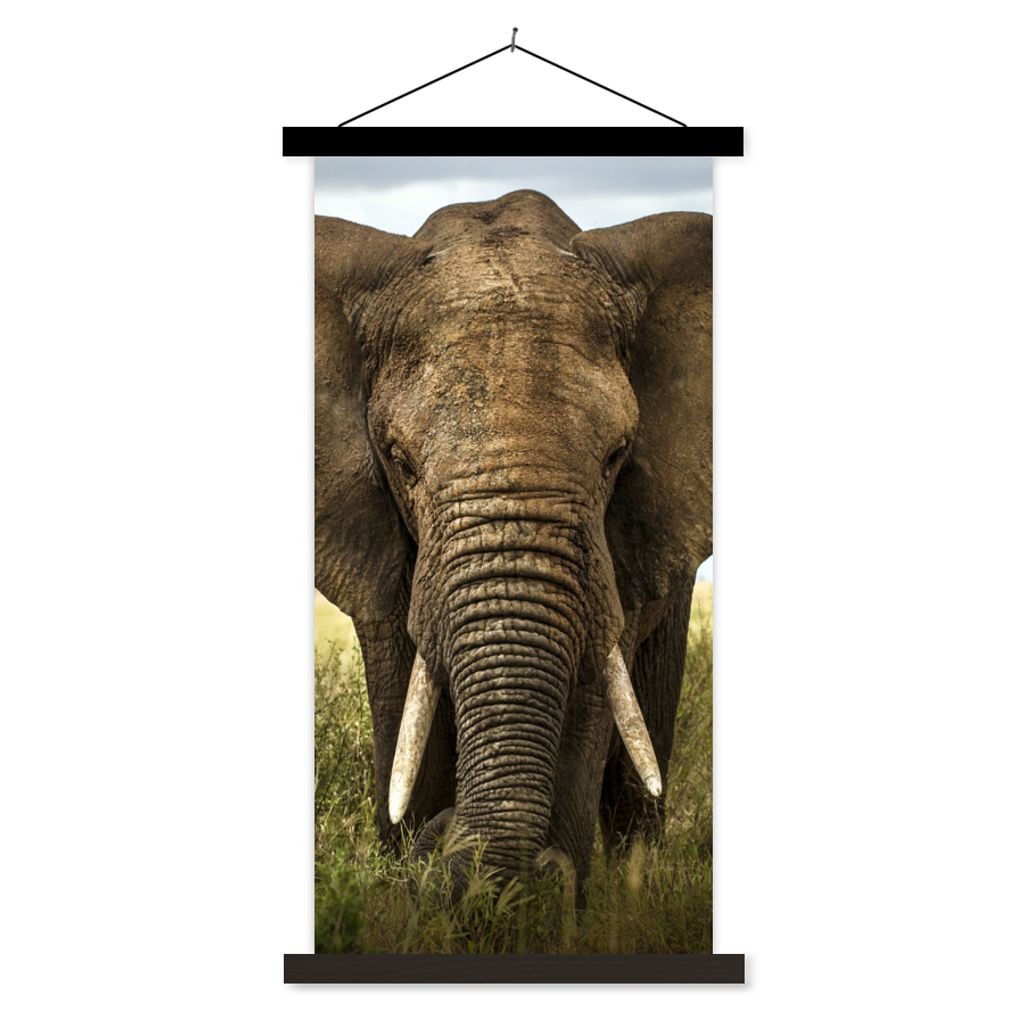 MuchoWow Textilposter Elefant - Natur - Gras - Tiere - Landschaft 90x180 cm mit schwarzem Rahmen - Dekoration Wohnzimmer