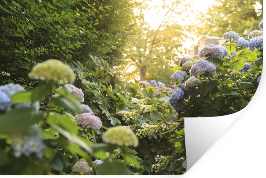 MuchoWow - Selbstklebend - Fototapeten