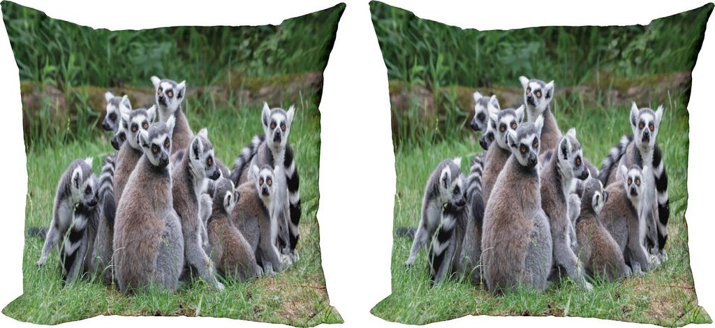 ABAKUHAUS Lemur Kissenbezug Set (2Stück), Foto von Madagaskar Affe Ring angebundene Herde von exotischen Tier in der Natur, 45 x 45 cm, Pale Mauve...