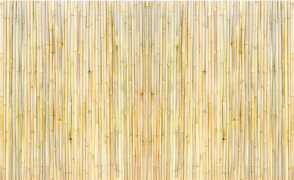 SucceBuy Clôture en bambou naturel 1,2x2,4m pour brise-vue de jardin