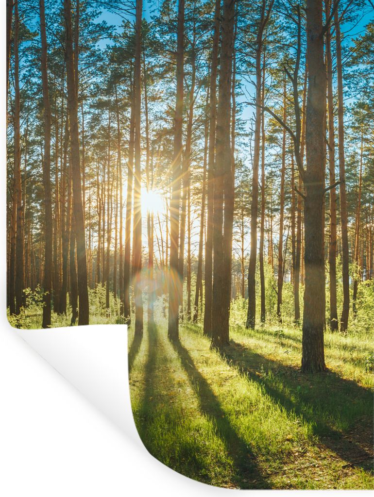 MuchoWow Wandtattoo Wandsticker Wandaufkleber Sonne - Bäume - Landschaft - Gras 90x120 cm Selbstklebend und Repositionierbar - Faltenfrei