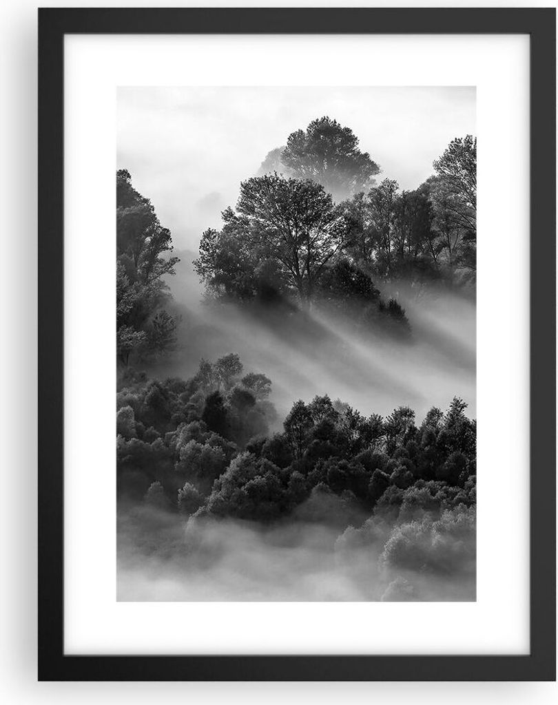 Gerahmtes Poster - Schwarzer Rahmen - Schwarzweiß Bäume Nebel - 30x40 cm - Wand Bild - Wanddeko - Wandbilder - Kunstposter - Wandposter - Bilderr...