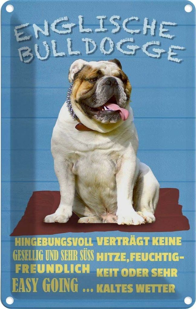 vianmo Blechschild 18x12 cm Englische Bulldogge Hund süss Tier Haustier