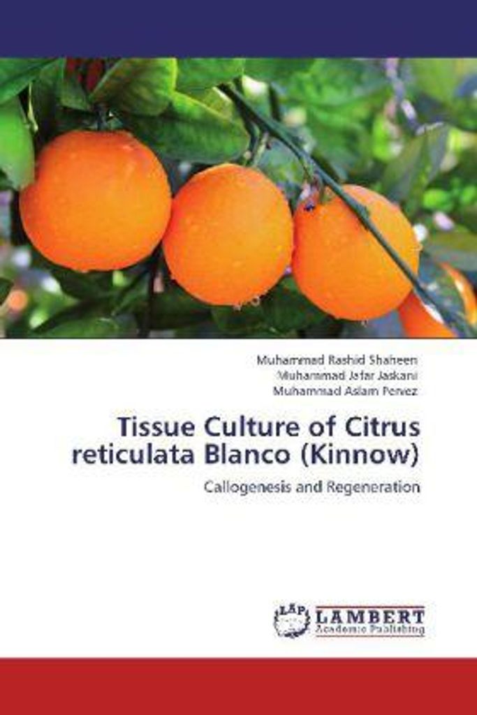 Shaheen, M: Tissue Culture of Citrus reticulata Blanco (Kinn