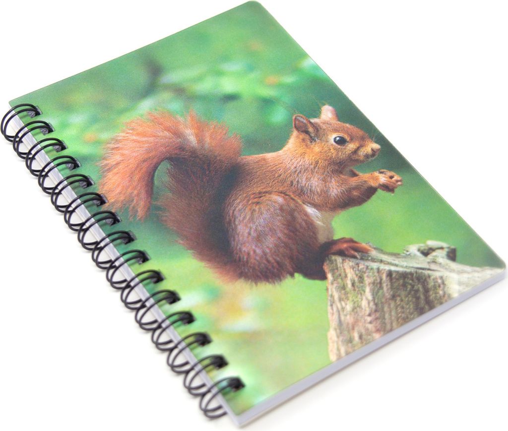 3D Notizbuch - Eichhörnchen - klein Produktbild 