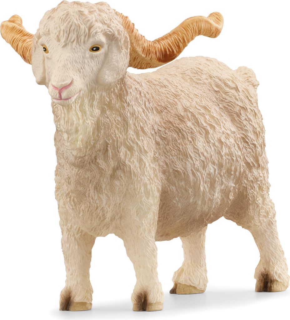 Angoraziegenbock Produktbild