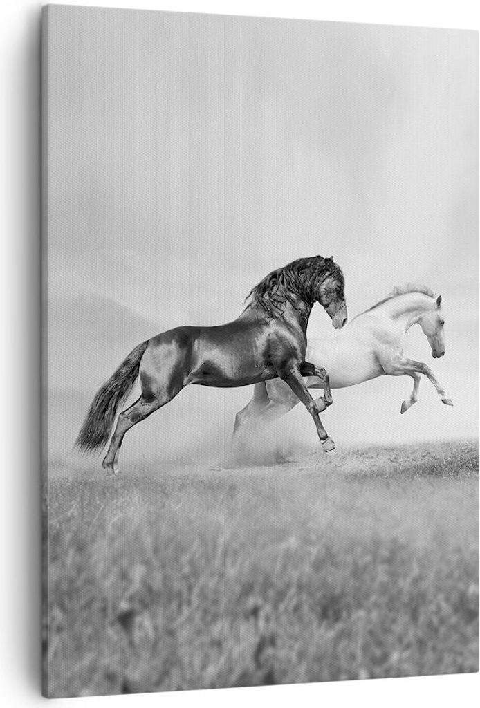 Bild auf Leinwand - Leinwandbild - Einteilig - Pferde Tiere Galopp Wiese - 50x70cm - Wand Bild - Wanddeko - Wandbilder - Leinwanddruck - Wanddekora...