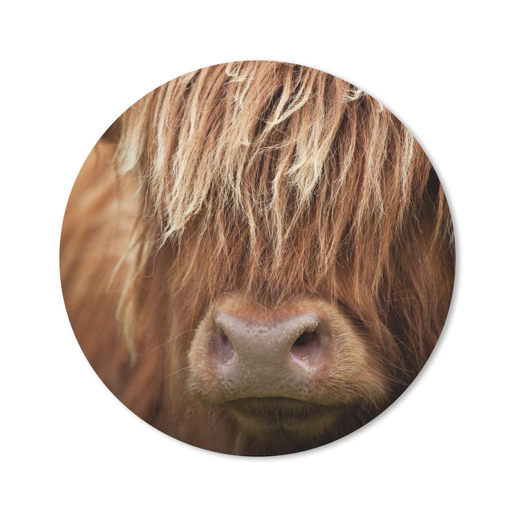 MuchoWow Mauspad Mousepad Schottischer Highlander - Nase - Haare 30x30 cm - Mousepads - Maus Mat - Pad - Mausunterlage - Tischunterlage - Schreib...