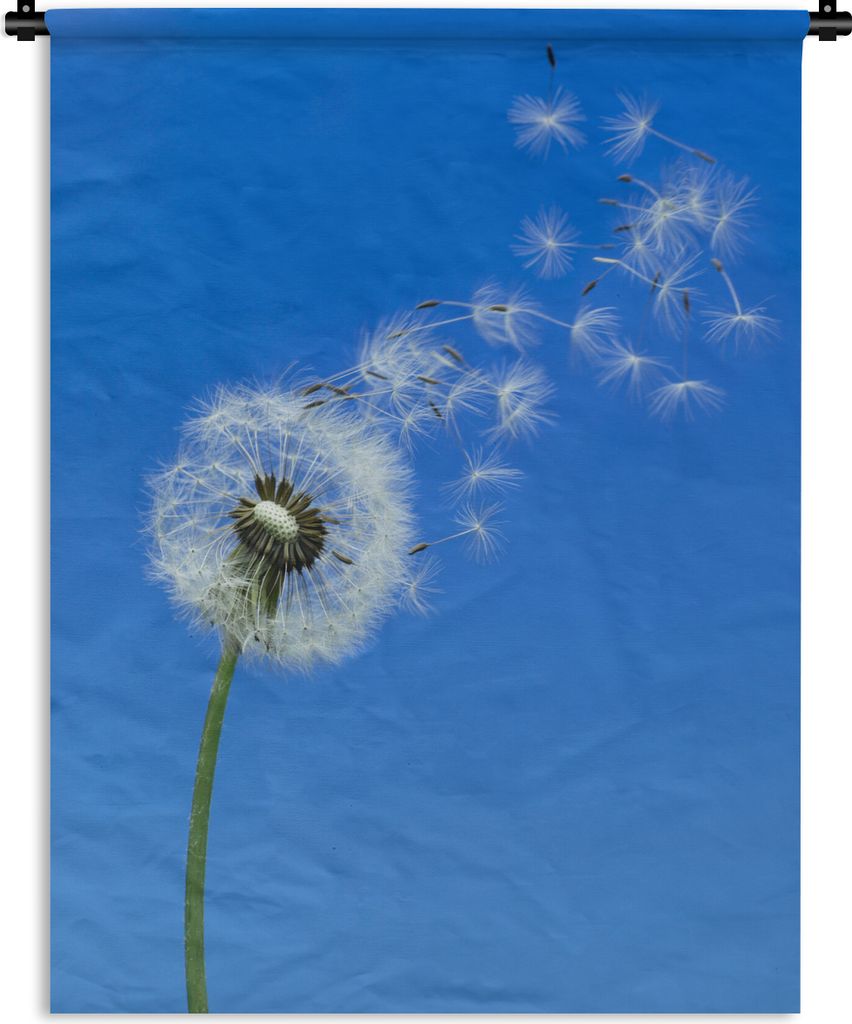 MuchoWow Wandteppich Wandbehang Löwenzahnsamen verwehen im blauen Himmel 120x160 cm Tapisserie Dekoration Wandtuch - Wohnzimmer - Moderne