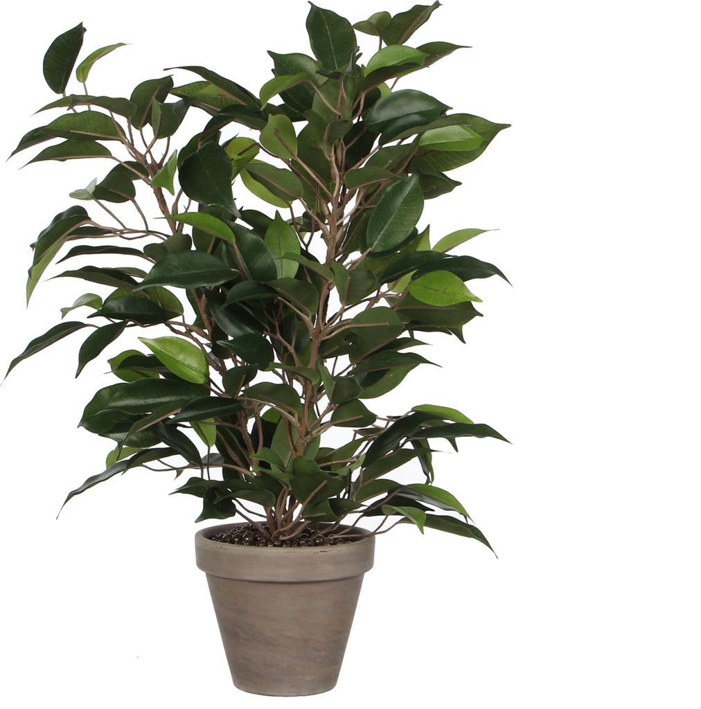 Mica Decorations Ficus Natasja sztuczna roślina w doniczce Zdjęcie produktu 
