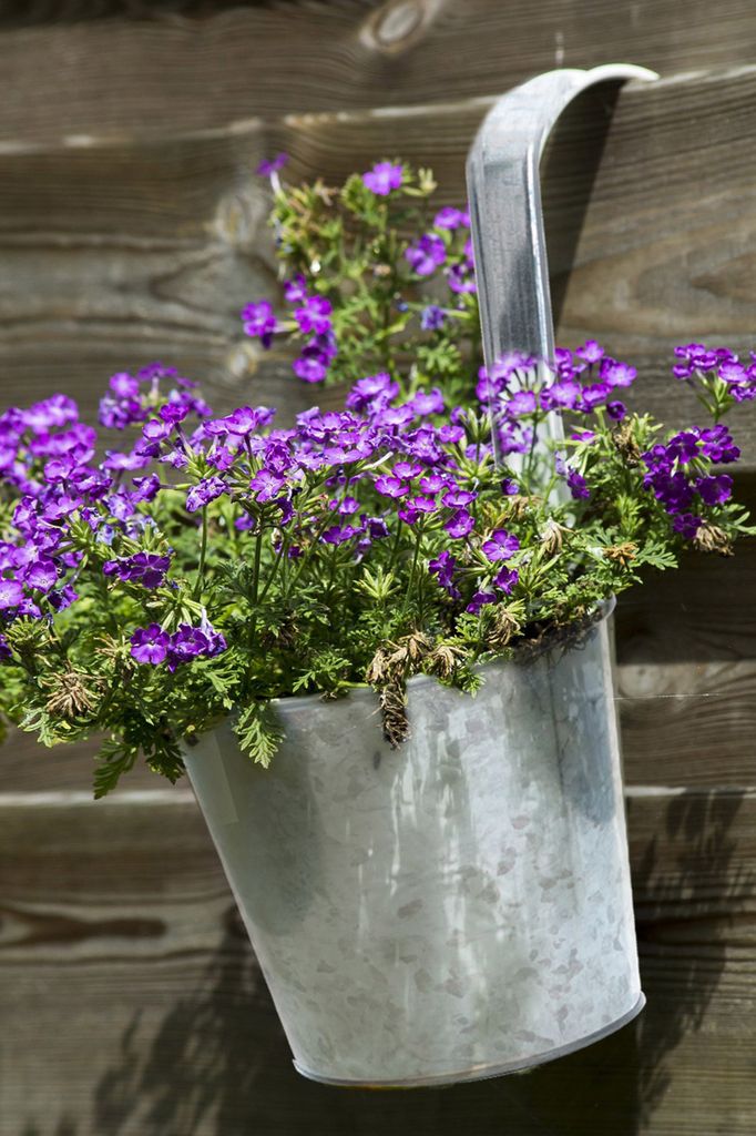 Zinkový kvetináč na zavesenie Ø 13 cm - sada 6 kusov - Obrázok produktu 3
