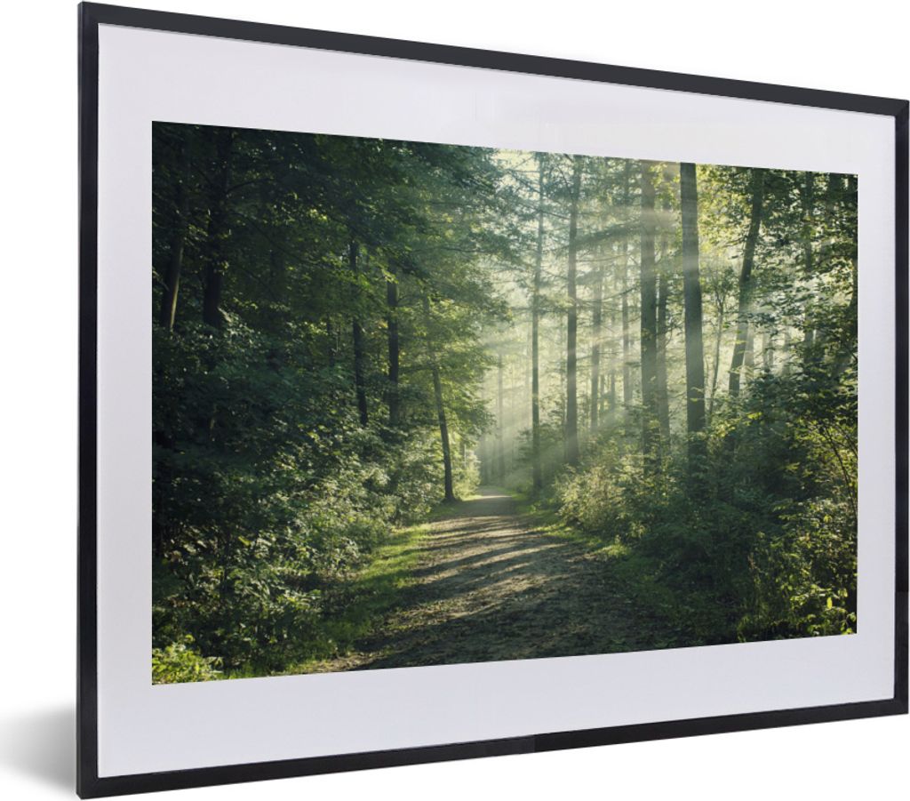 MuchoWow MuchoWow Gerahmtes Poster Wald - Weg - Sonne - Bäume - Grün - Natur 40x30 cm - Poster mit zchwarzem Bilderrahmen - Bilderrahmen - Po...