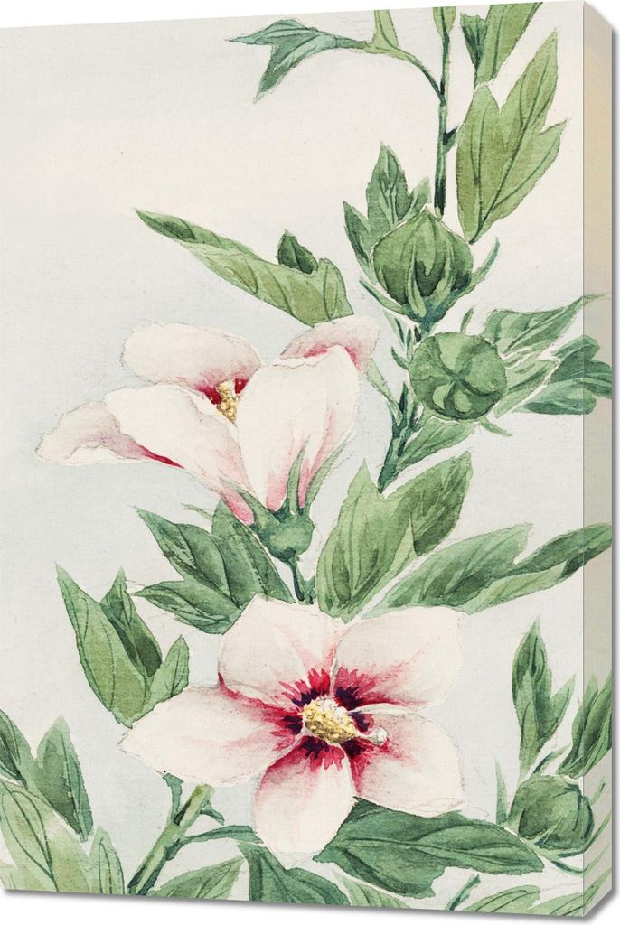 Bild 60x90cm Hibiskus, Morikaga Japanisch Vintage für das Wohnzimmer
