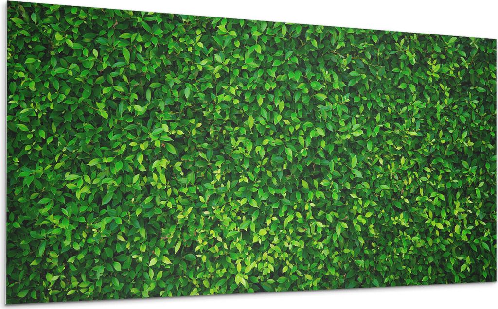 Dichte Wand Aus Blättern – Selbstklebende Fliesen – Wandverkleidung – Wandpaneel – PVC Fliesen – Vinylflisen – PCV Flisen – Selbstkl...