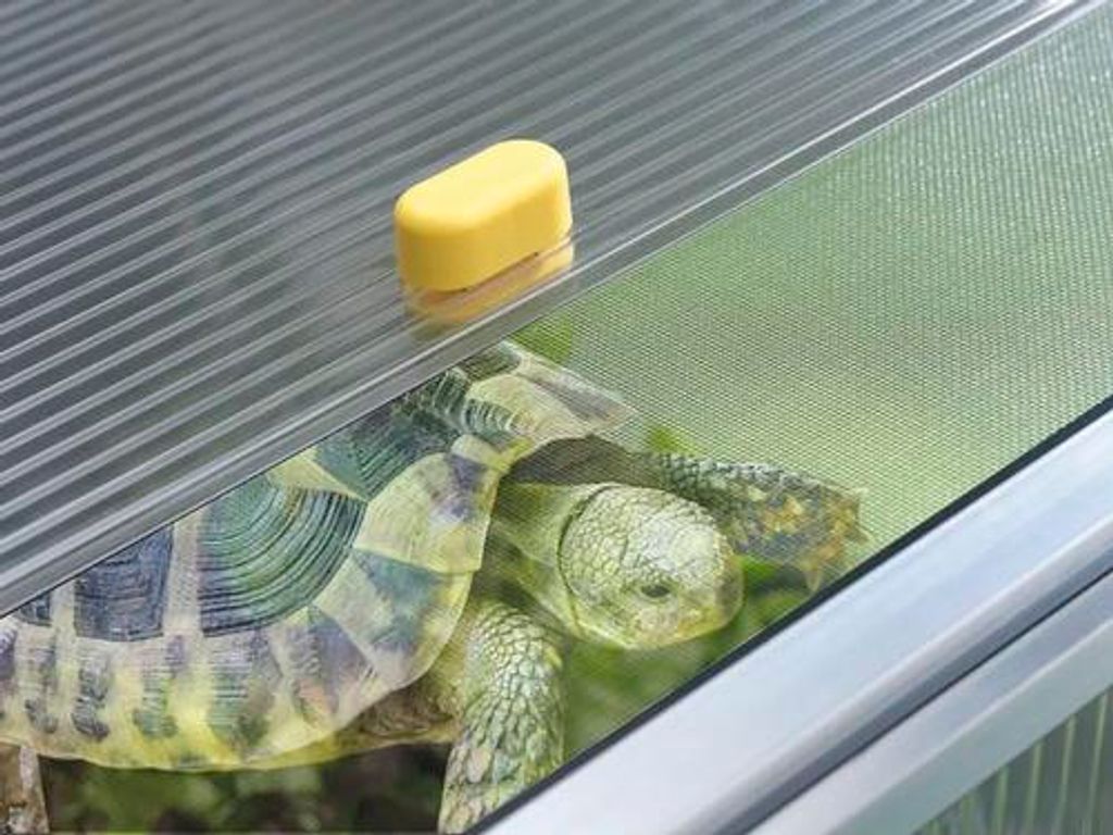 Juwel Schildkrötenhaus Paula, Wärmeisolierung, stufenlose Obrázok produktu 