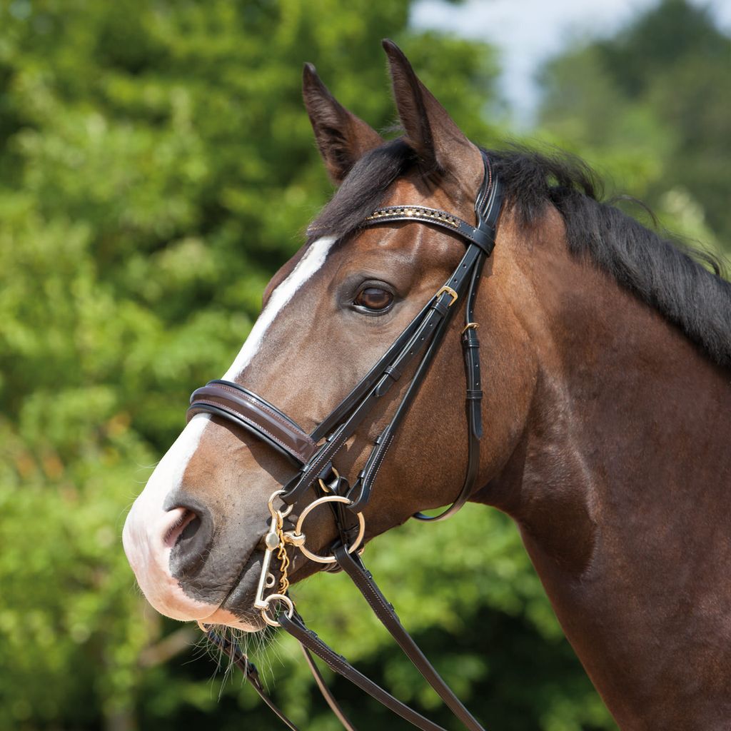 Kieffer Kandarenzaum Paris, braun, schwedisches Lackreithalfter, Stirnband geschwungen mit Swarowskis, inkl. Lederzügel , Größe Pferd:Warmblut