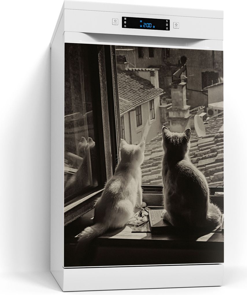 DEQORI Magnetmatte Spülmaschine beschreibbar 60x80 cm 'Katzen auf Fensterbrett' Magnetfolie