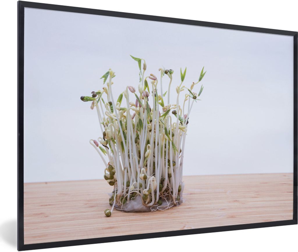 MuchoWow Gerahmtes Poster Bohnensprossen auf einem Holzsockel 30x20 cm - Poster mit Schwarzem Bilderrahmen Wandposter Rahmen Foto Bilder - Kunstd...