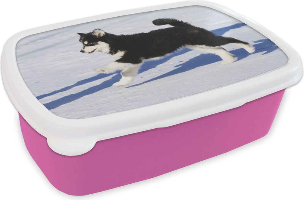 KitchenYeah Lunchbox Brotzeit Brotdose 17x11 cm Husky-Welpe läuft über den Schnee Kinder Brotzeitdose - Lunchpaket - Brotkasten - Sandwich Box