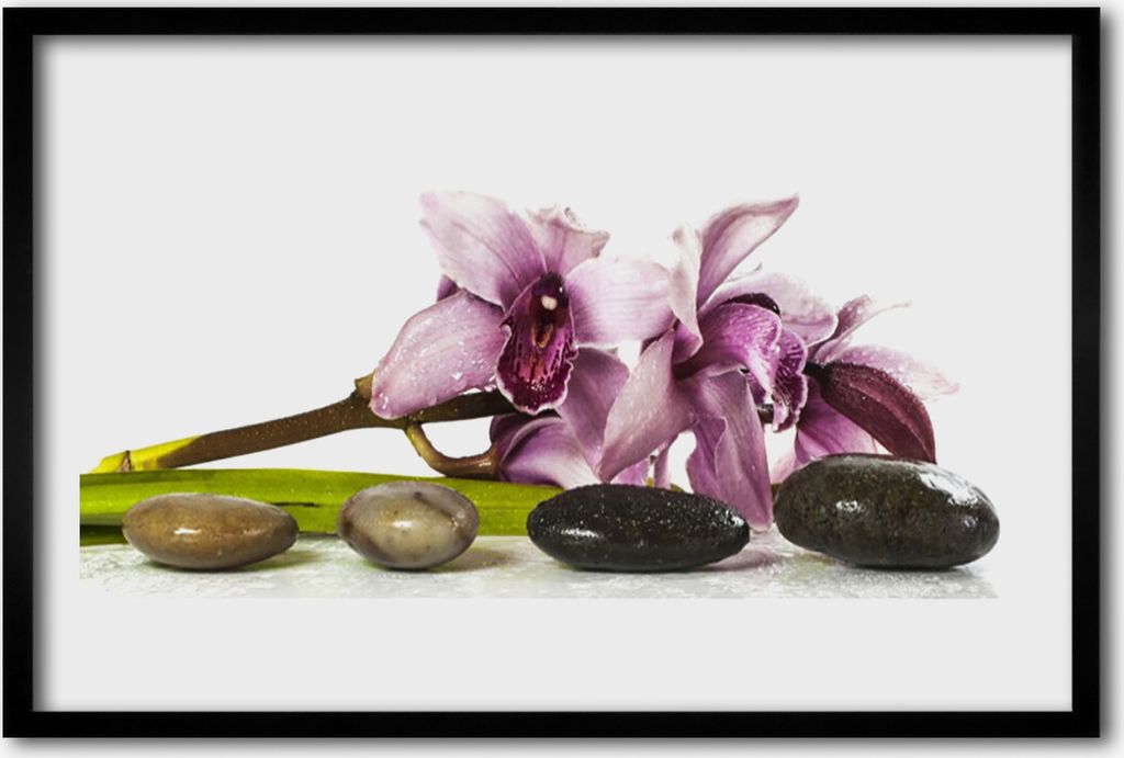 Bild 60x40 MDF-Rahmen Wandkunst Stein Blume Pflanze