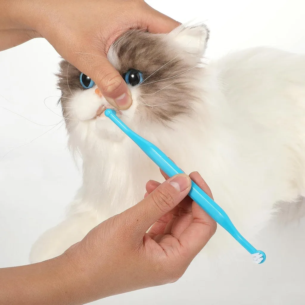 Réduire le tartre du chat : brosse à dents micro-tête manche long x4