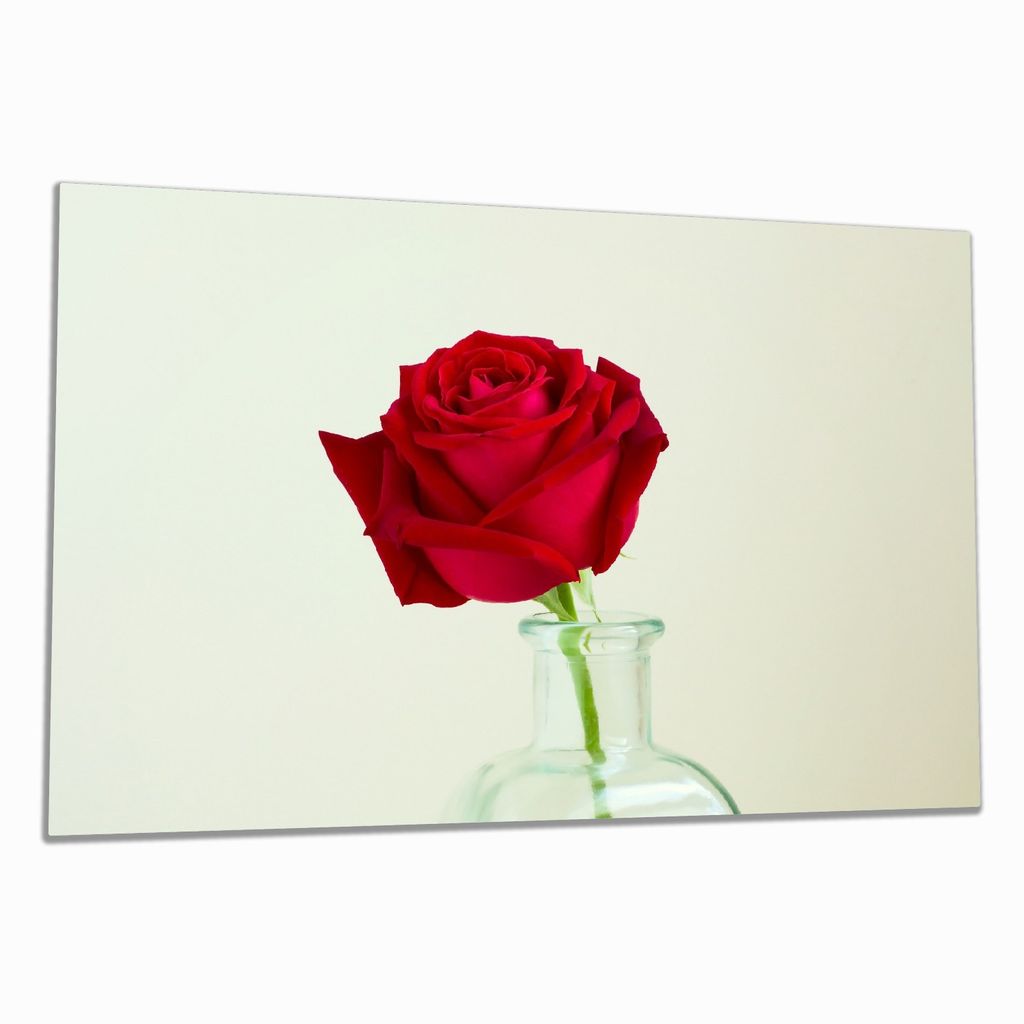 Wallario Herdabdeckplatte aus Glas, Größe 80 x 52 cm 1-teilig, Motiv Rote Rose in Glasvase