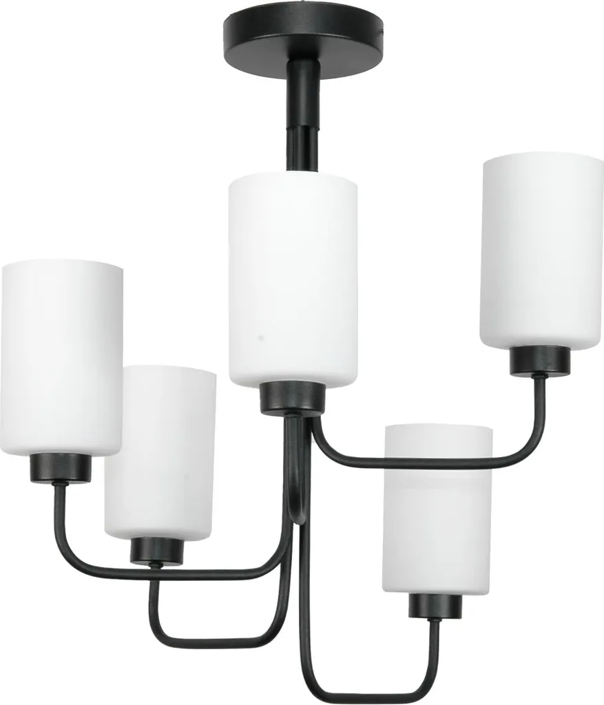 Luminaire de Plafond Classique Noir et Blanc en Verre Jastar 15-420