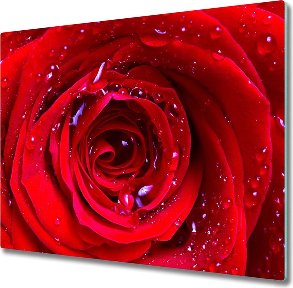 Glas Herdabdeckplatte 60x52 cm Spritzschutz Glasabdeckplatte Schneidebrett Rose Blume