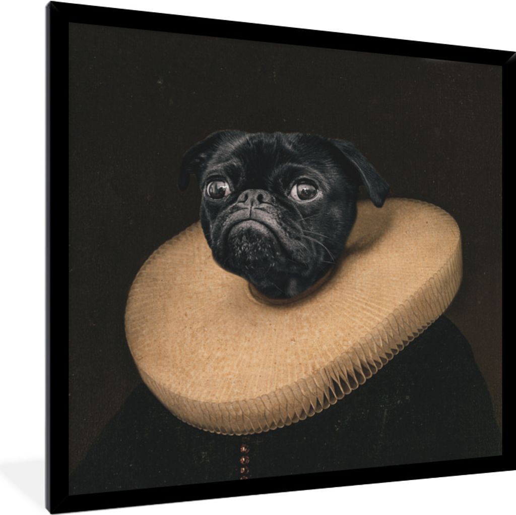 MuchoWow MuchoWow Gerahmtes Poster Hund - Kleidung - Mittelalter 40x40 cm - Poster mit zchwarzem Bilderrahmen - Mit Rahmen - Wanddekoration Sch...