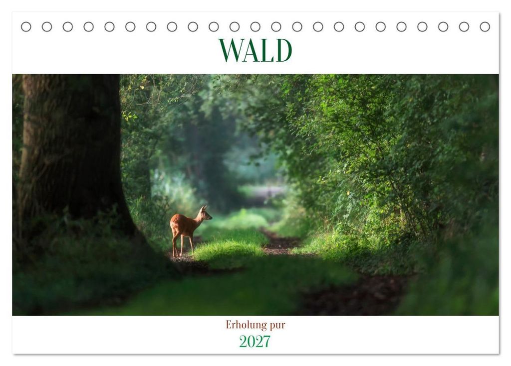 WALD Erholung pur (Tischkalender 2027 DIN A5 quer), CALVENDO Monatskalender