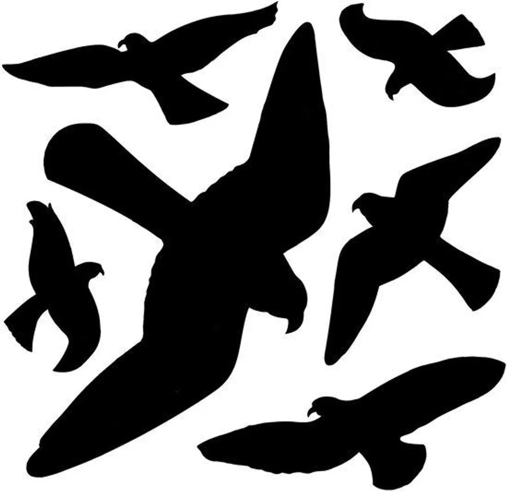 Kit anti-oiseaux de 6 pièces durables pour une protection efficace