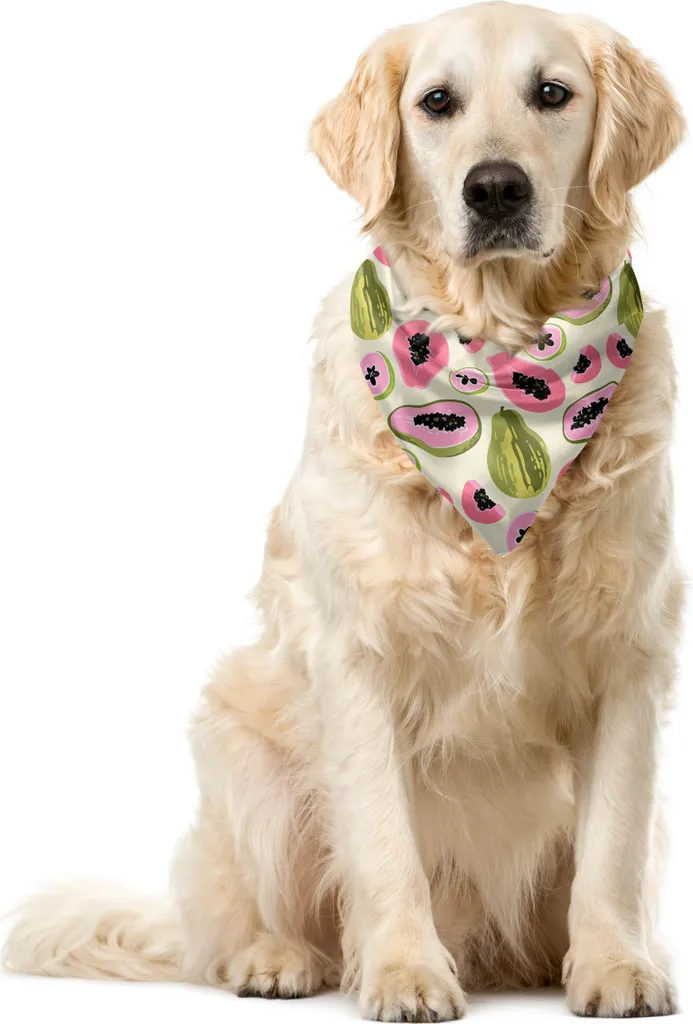 OFFERTA Bandana ABAKUHAUS Papaya 55x55 cm | Miglior Prezzo Online