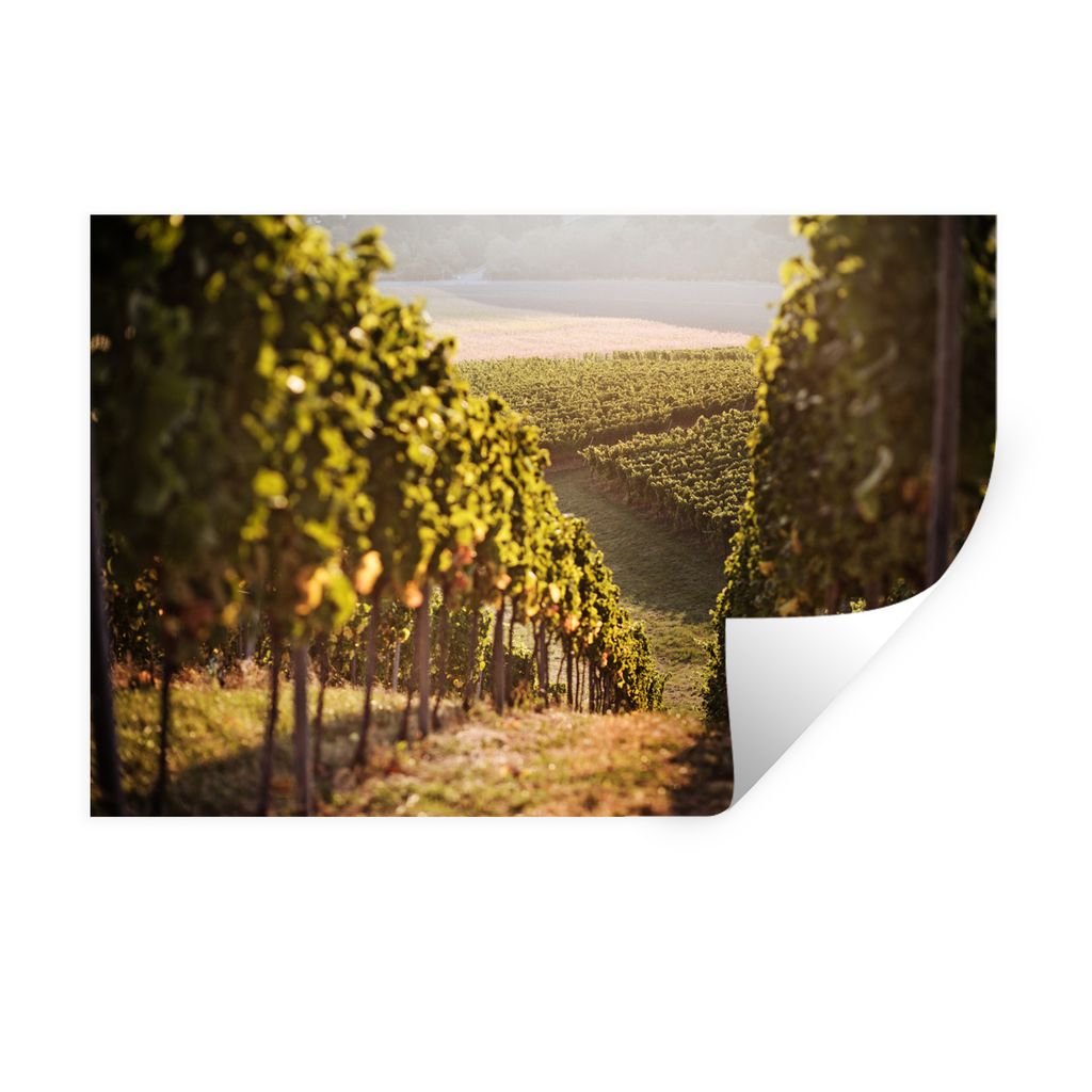 MuchoWow Wandtattoo Wandsticker Wandaufkleber Weg durch einen Weinberg 90x60 cm Selbstklebend und Repositionierbar - Aufkleber