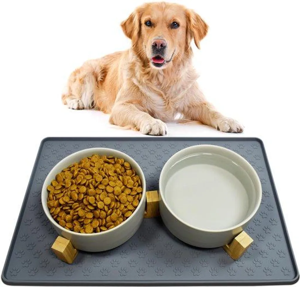 Gamelle chien surélevée stable : finit les déversements avec socle bambou