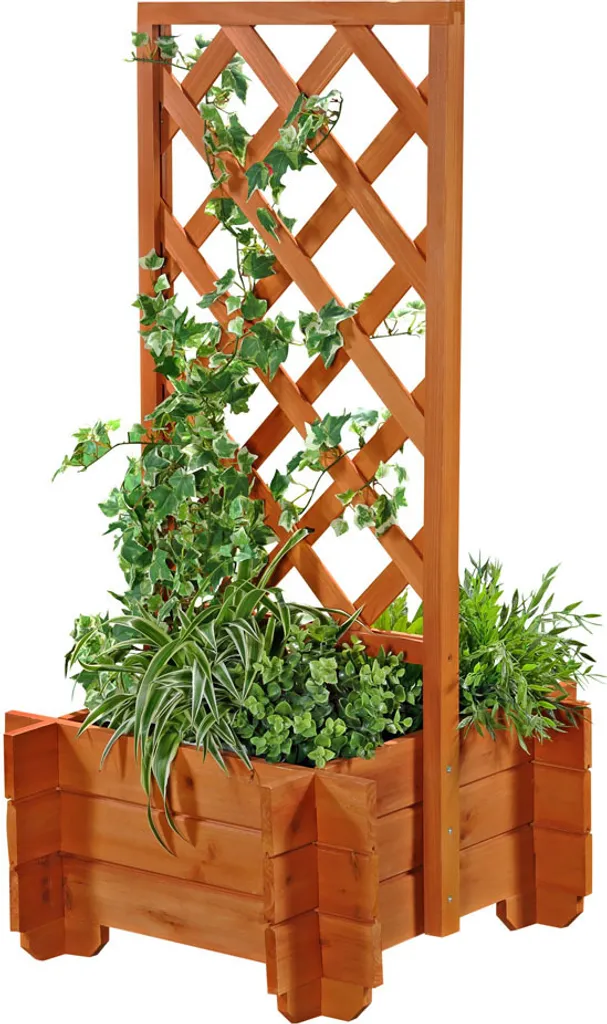 Brise-vue naturel bac à plantes avec treillis bois pergola de jardin