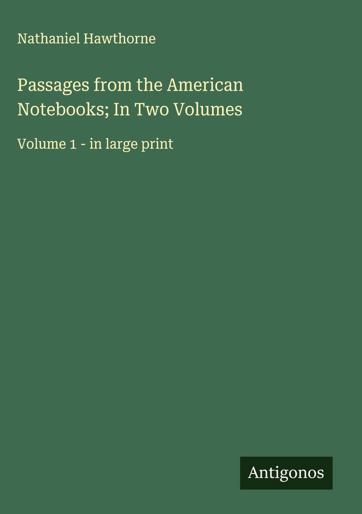 Passagen aus den amerikanischen Notizbüchern In zwei Bänden