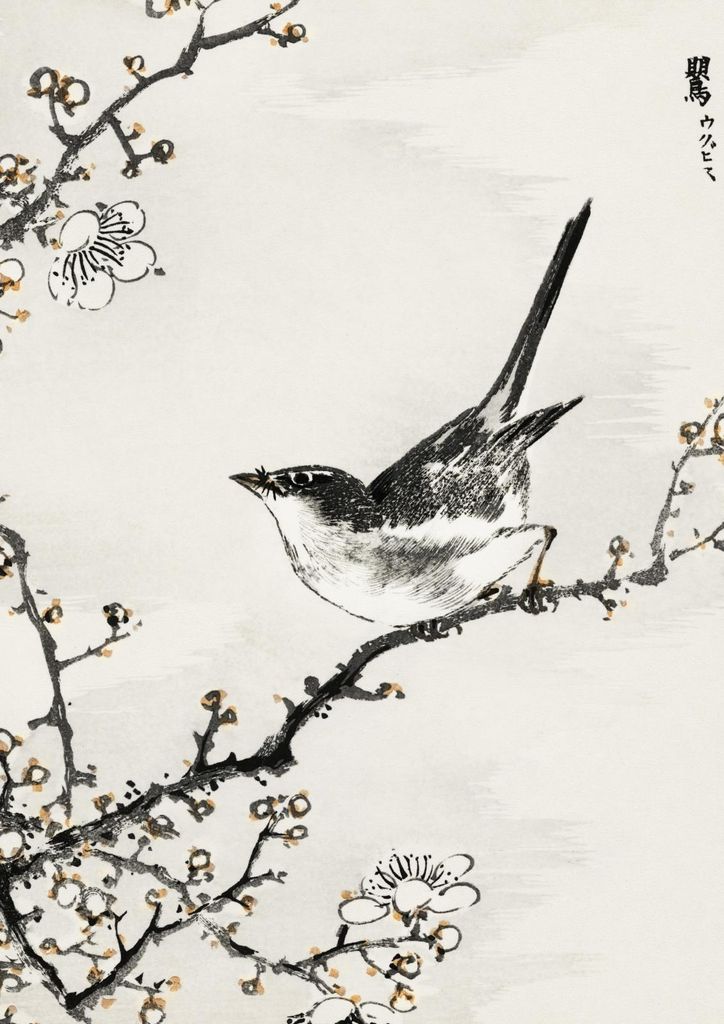 Plakat 42x59,4cm Bush-Warbler, Japanischer Vintage-Kashi für das Wohnzimmer