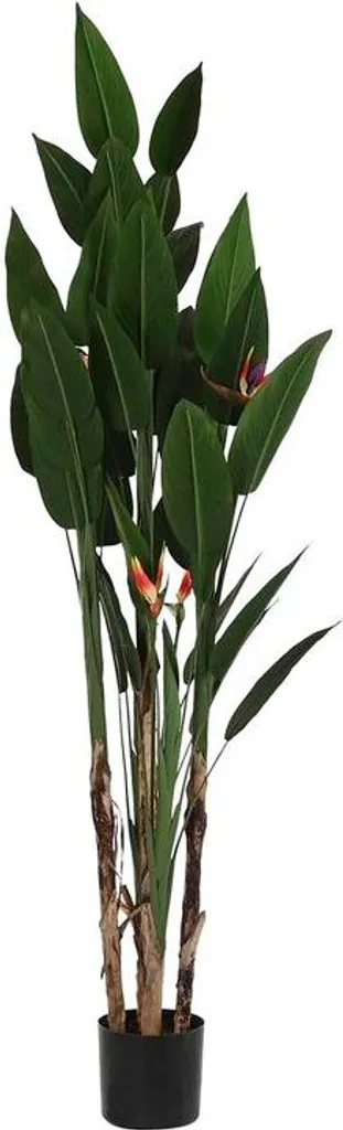Plante Décorative 200 cm DKD Home Decor - Feuillage Dense et Réaliste