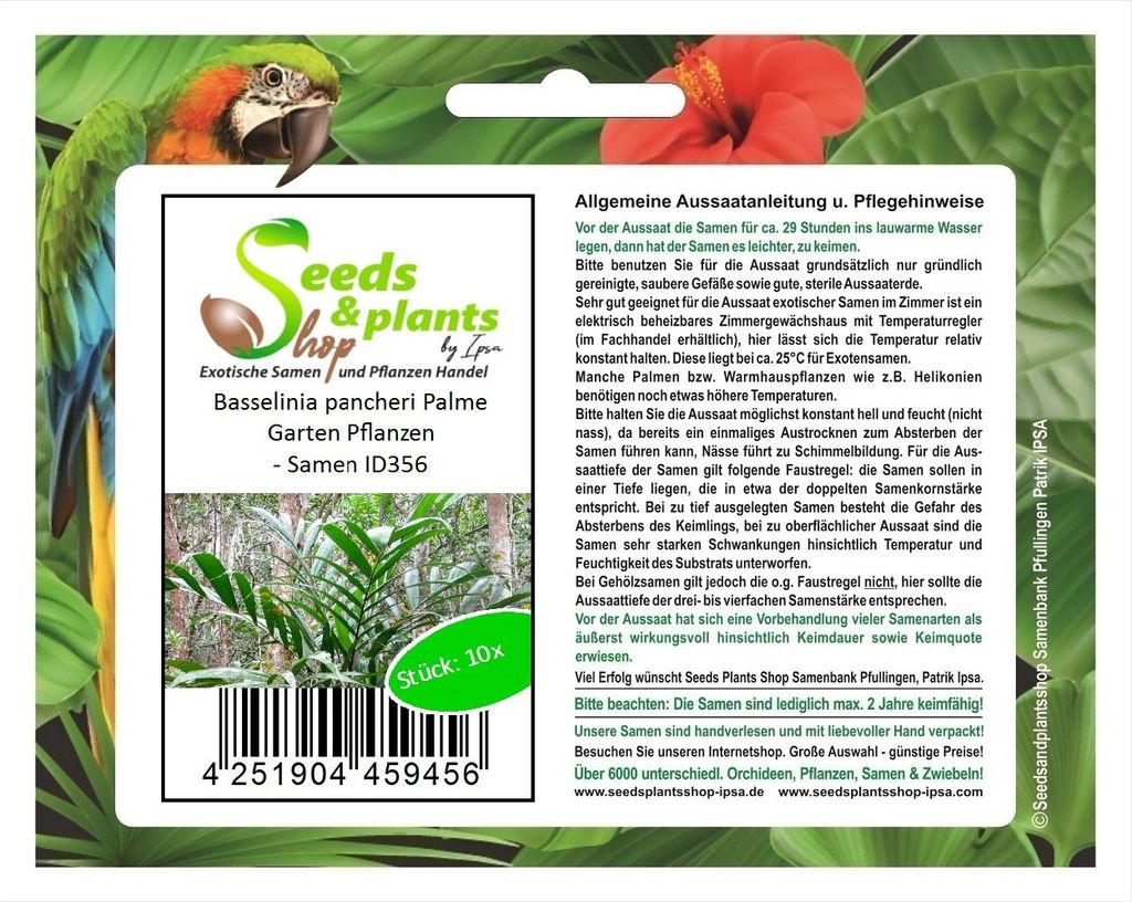 10x Basselinia pancheri Palme Garten Pflanzen - Samen ID356