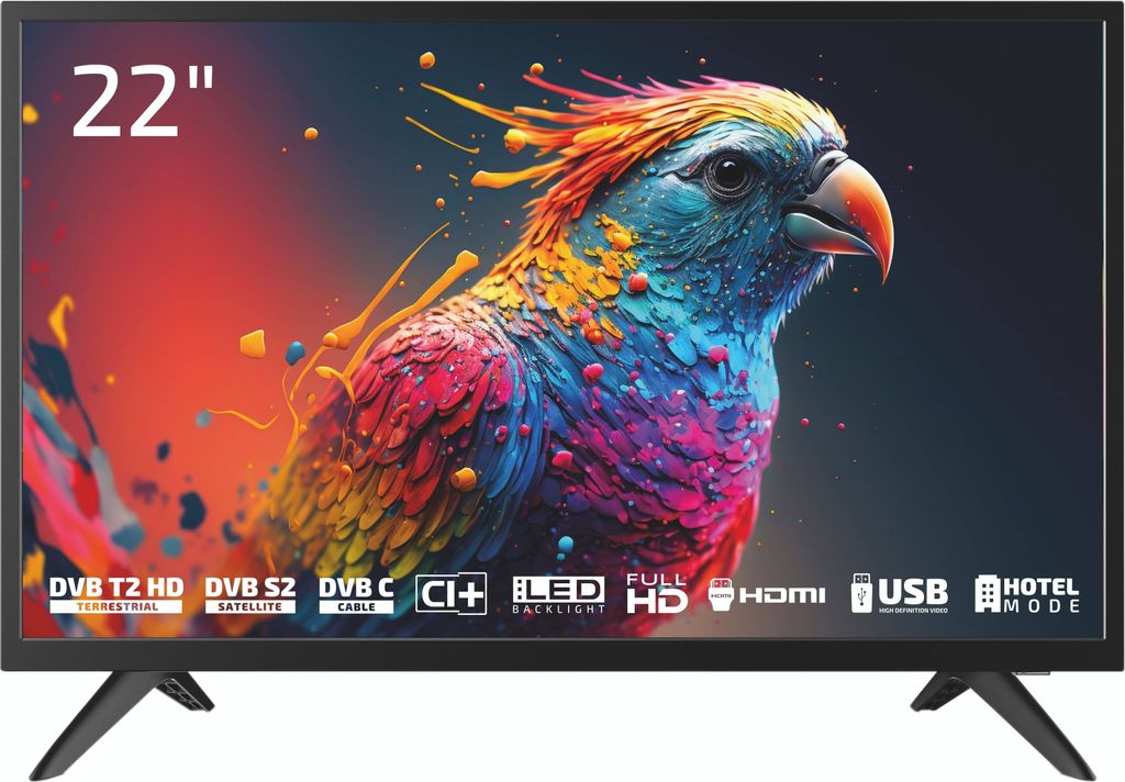 Dyon Enter 22 Pro X2 LED-TV 55 cm 22 Zoll A - G CI+ DVB-C DVB-S2 DVB-T2