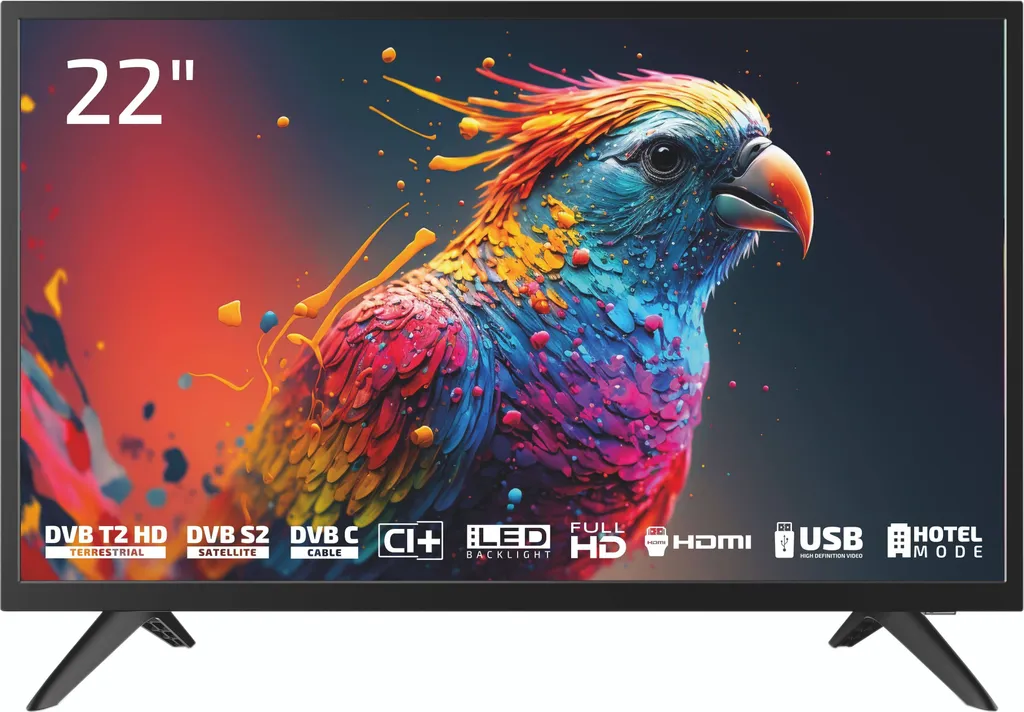 TV DYON Enter 22 Pro X2 LED Full HD: Opinioni e Specifiche Tecniche