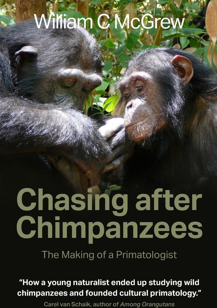 Chasing after Chimpanzees