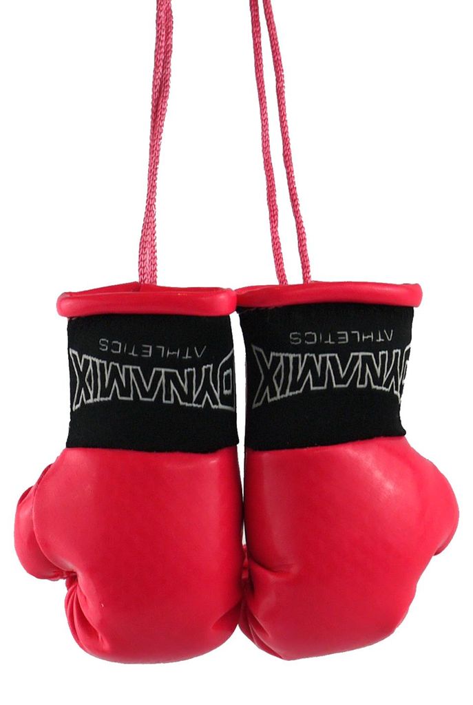 Dynamix Athletics Autospiegel Mini Boxhandschuhe Produktbild 
