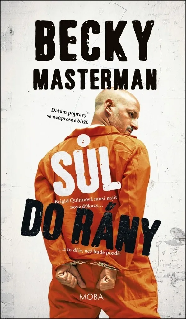 Sůl do rány de Becky Masterman : Thriller psychologique captivant en VF