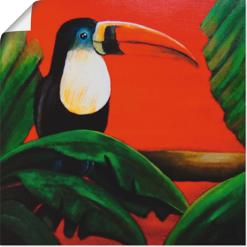 ARTland Poster Tukan Größe: 50x50 cm